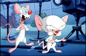 pinky_and_the_brain