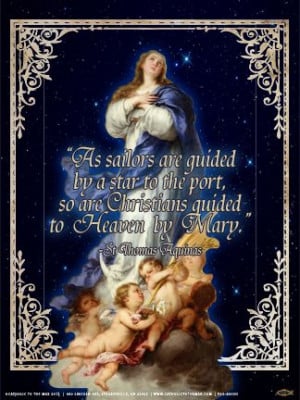 ... quotes | Immaculate Conception (St. Thomas Aquinas Quote) Poster