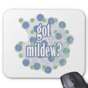 Got Mold Funny Sayings by Mudge Studios Mousepads