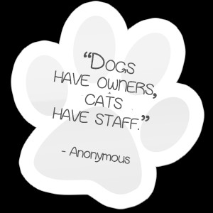 Quotes And Sayings About Pet