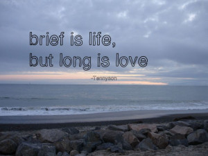 brief is life but long is love tennyson # quotes # love