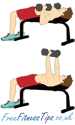 Dumbbell Chest Exercises To Build Strength And Size Stack