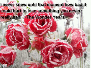 the wonder years # quotes