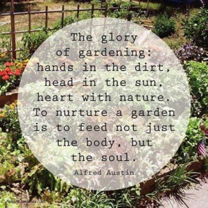 ... garden is to feed not just the body, but the soul. - Alfred Austin