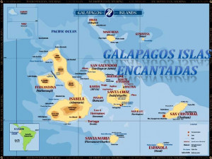 Documental Region Insular