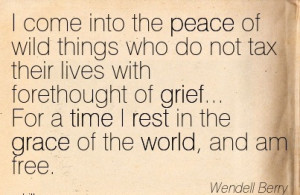 More Quotes Pictures Under: Grief Quotes