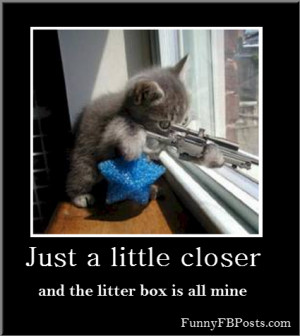 Sniper Cat!