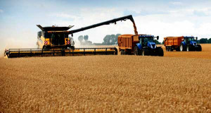 New Holland breaks guinness record wheat harvested in eight hours.
