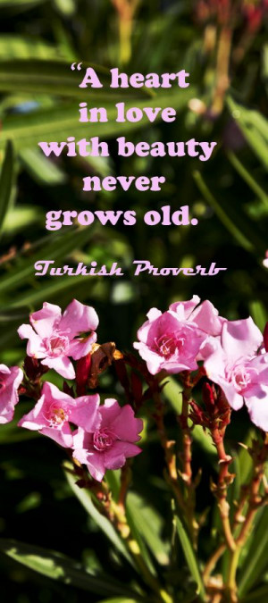 ... touchstone-quotes-for-wedding-vows-and-speeches Heart, Touchstone