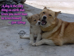 Pictures With Quotes About Life: Animal Quotes About Love In Dog ...