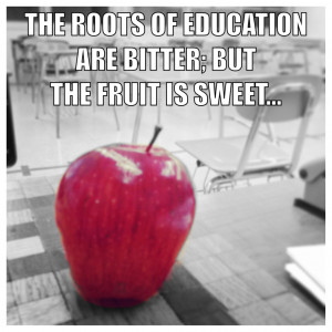 Come see what else there is to discover...