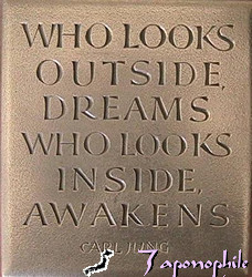 carl jung quote An inspiring collection of lessons, illustrated quotes ...