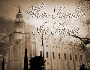 Temples are the Gem of the Earth. -DailyLDS.com- #MormonLink # ...