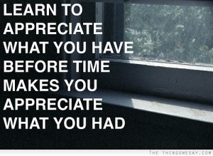... appreciate what you have before time makes you appreciate what you had