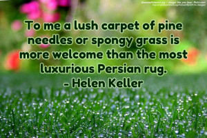 Green Color Quotes Green is the prime color of