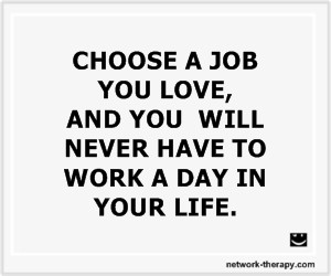choose a job you love
