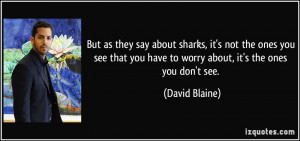 ... you have to worry about, it's the ones you don't see. - David Blaine