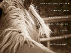 cowgirl quotes funny horse quotes horse jumping quotes horse quotes ...