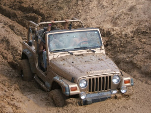 stuck in the mud Image