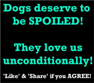 Dogs Spoiled...