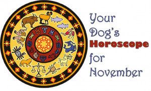 November Dog Horoscopes