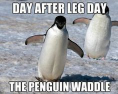 Funny exercise quotes