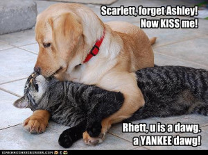 wonder if other dogs think poodles are members of a weird religious ...