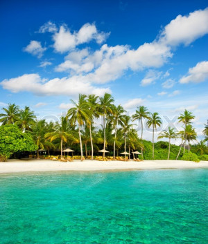Tropical Island Beach Scene