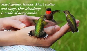 Friendship Quotes, Stay Together, Rumi Quotes on Friendship