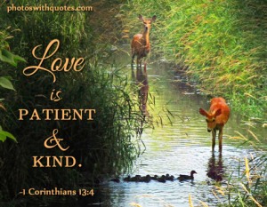 http://quotespictures.com/love-is-patient-and-kind-bible-quote/
