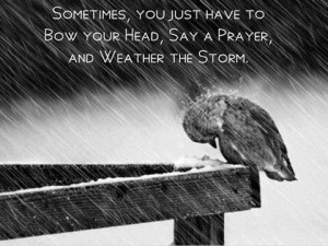 Bow your head, say a prayer and weather the storm... #quotes