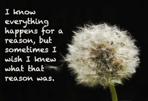 Wish Two - I wish that all children receive the love and care they ...