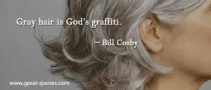 quotes about grey hair - Google Search