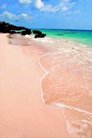 Pink sand beach, Bermuda
