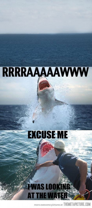 Funny Shark Attacks
