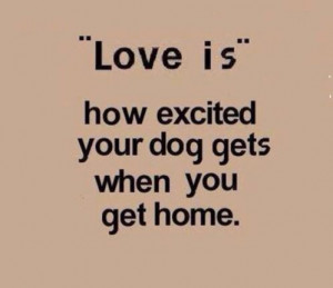 Loveis who excited you dog gets when you get home