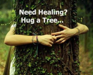 Hug A Tree