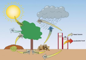 biomass renewable energy sources