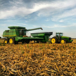 Harvesting Corn Nonstop