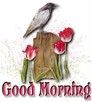 good morning crow animated scrap punjabi wallpaper pictures
