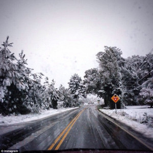 This photo shows snow in Lexington, South Carolina. Snow fell on ...