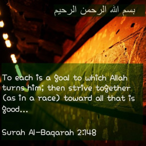 Strive towards your goal