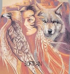 NATIVE WOMAN WOLF N HAWK Picture