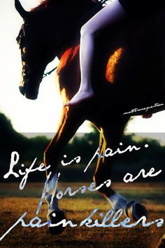 for those who love the ottb # horselovers # quotes