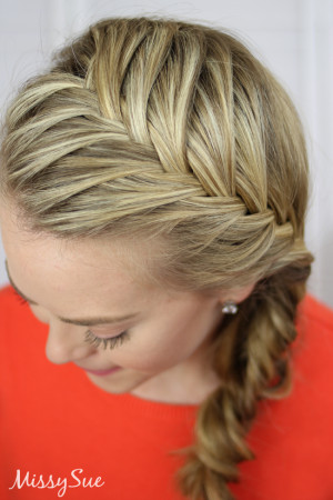 download this Fishtail French Braid Missysueblog picture