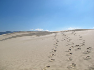 My Brazilian Family...