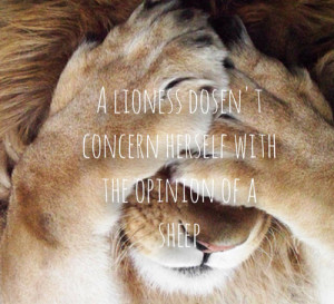 ... tags for this image include: Leo, lioness, fierce, quote and womens