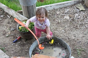 Spring Peepers Women In Ag Blog - Anne L. Miller