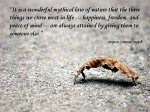 25 Beautiful Good Morning Quotes