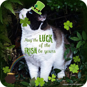 irish wisdom quote - Google Search